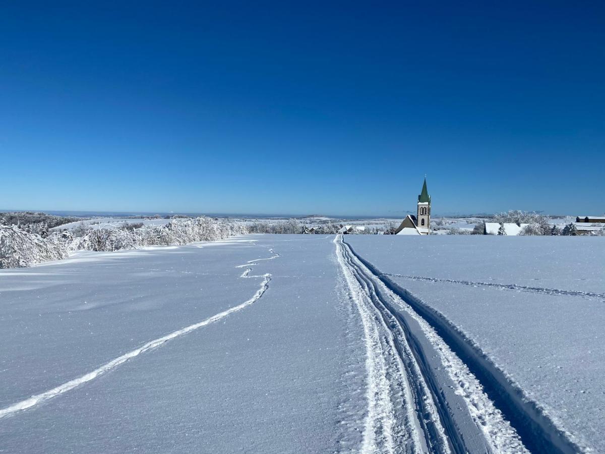 Zur Bergwiese 5 Sterne Appartementhaus Furstenau  エクステリア 写真