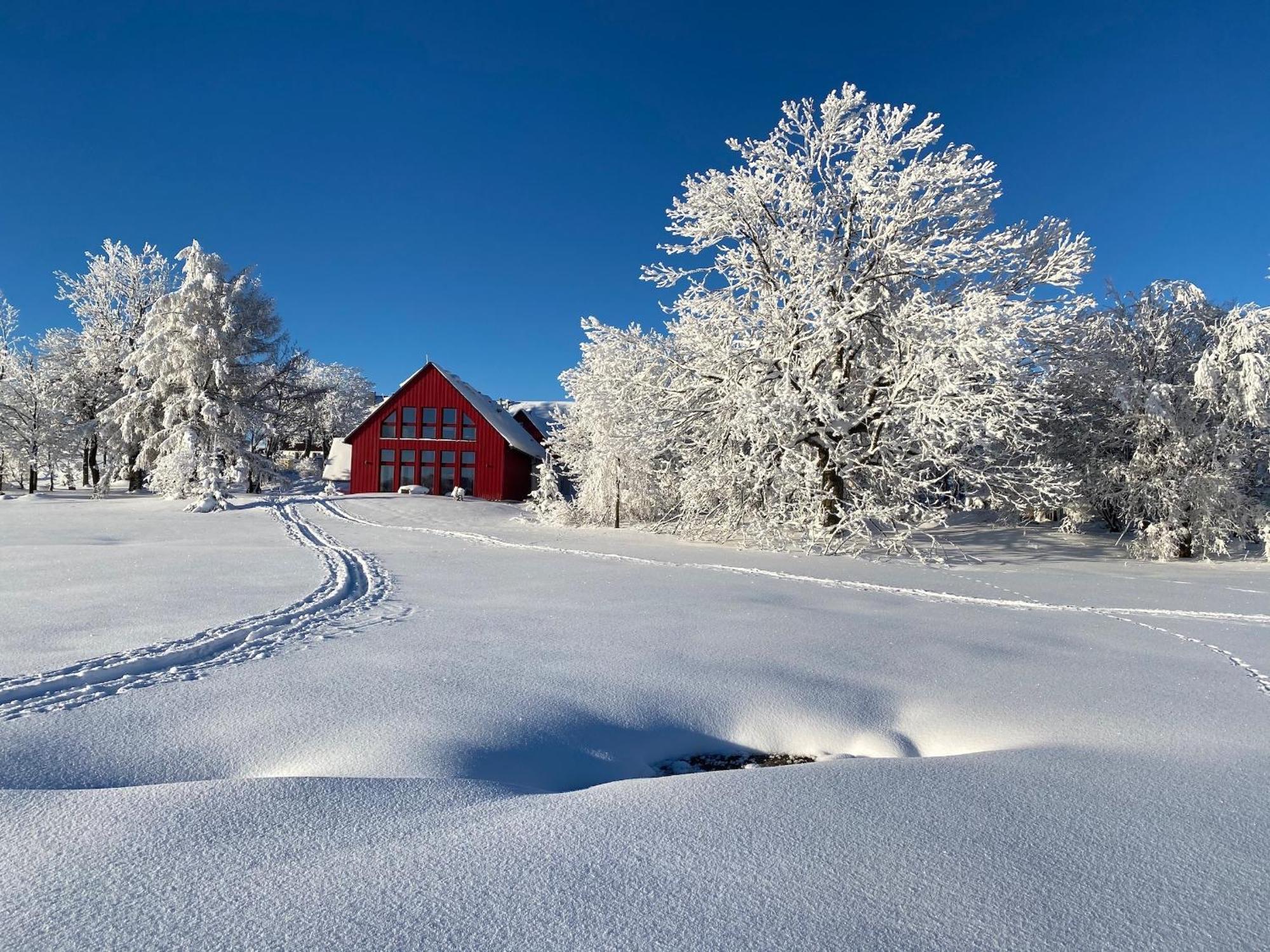 Zur Bergwiese 5 Sterne Appartementhaus Furstenau  部屋 写真